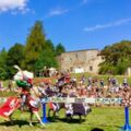 REICHENAU. 5 x 2 Karten für das Ritterfest von 8.-9. August, Burgruine Reichenau