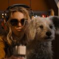OÖ. 2x2 Kinogutscheine für Supergirl: Woman of tomorrow, ab 25. Juni im Kino