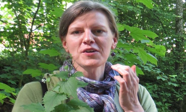 Kräuterexpertin Elisabeth Fruhstorfer Foto: Grüne Ried