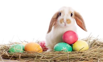 Tips-Ostergewinnspiel: Eier sammeln und täglich tolle Preise gewinnen
