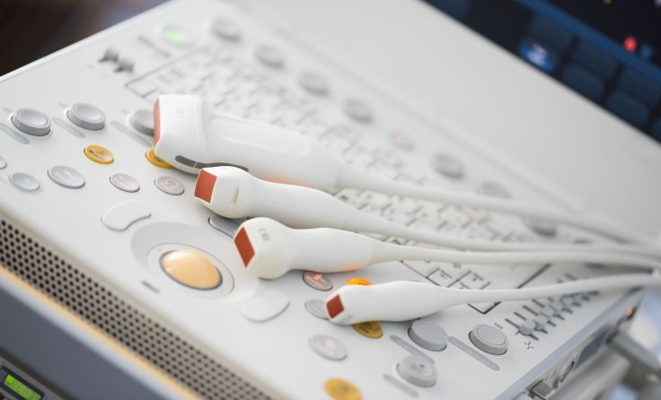 Foto: faustasyan/Shutterstock.com