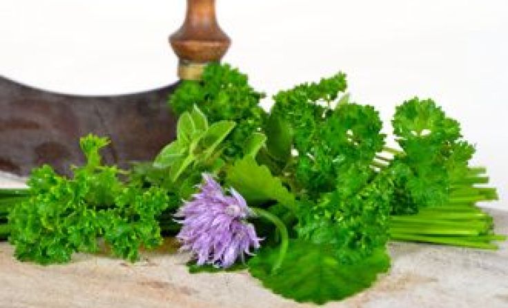 Foto: AdobeStock
