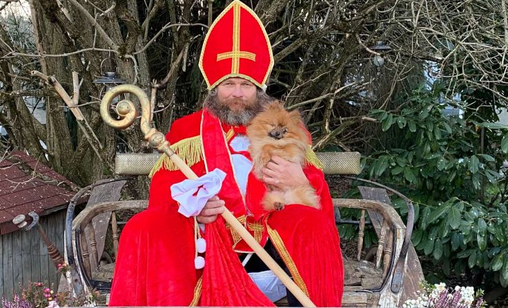 Nikolo am Tierschutzhof Pfotenhilfe (Foto: Pfotenhilfe)