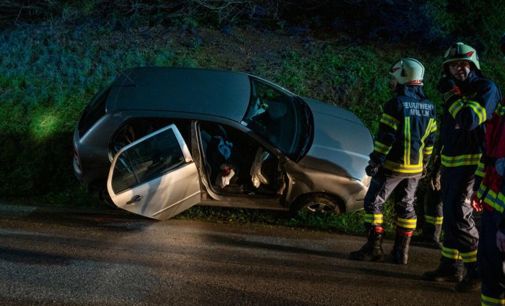  (Foto: TEAM FOTOKERSCHI.AT / DAVID RAUSCHER)