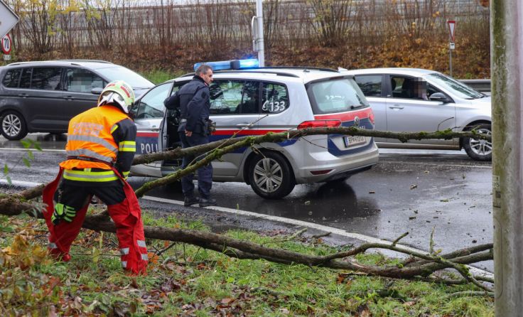  (Foto: laumat/Matthias Lauber)