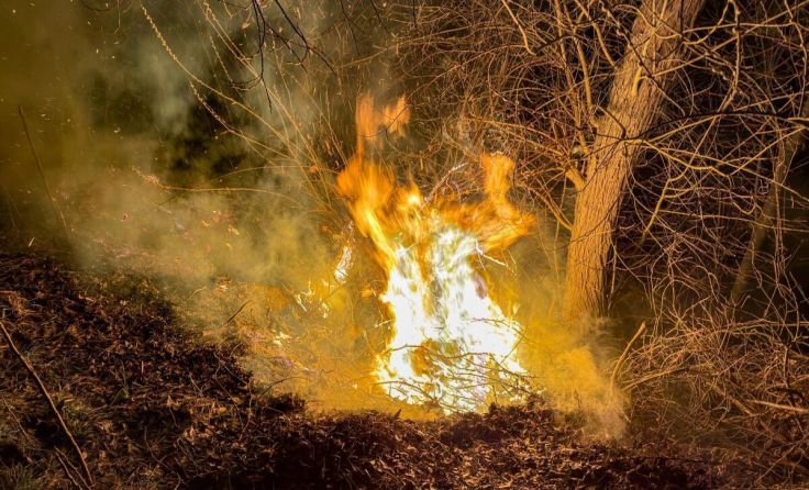 (Foto: TEAM FOTOKERSCHI / WERNER KERSCHBAUMMAYR)