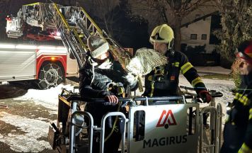 Feuerwehr rettete jungen Falken aus misslicher Lage