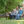 tips.at Logo/Newsbild