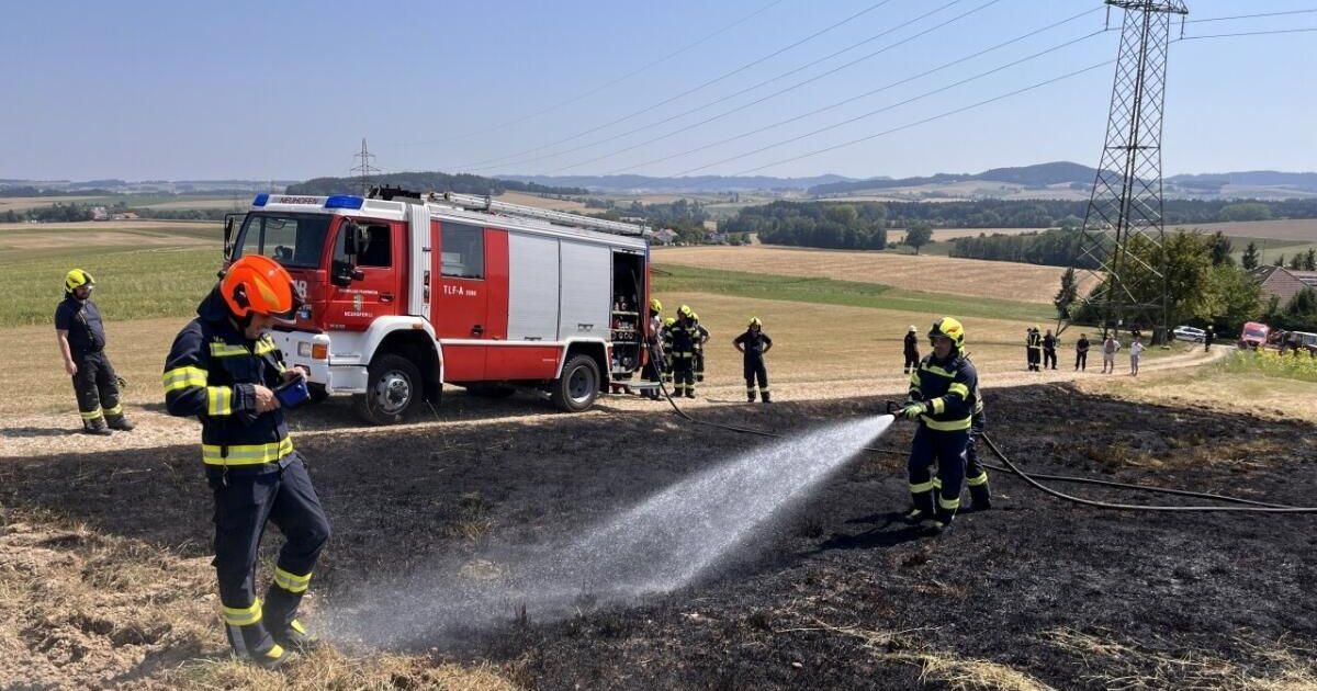 Funkenflug löste zwei Feuerwehreinsätze in Neuhofen aus
