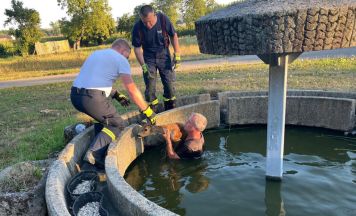 Reh aus Brunnen in Alkoven gerettet