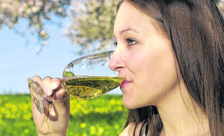 Most-Genuss im Glas Foto: Röbl