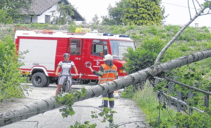Der Donauradweg musste am Samstag für einige Zeit gesperrt werden. 