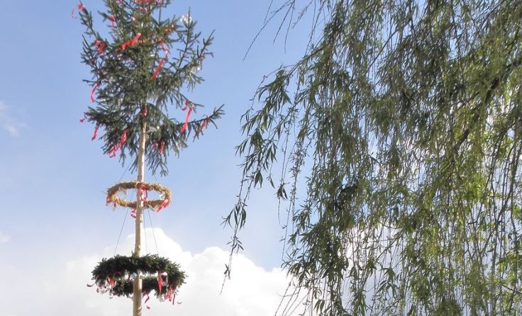 Maibaum bei der Familie Schwaighofer. Foto: Privat 