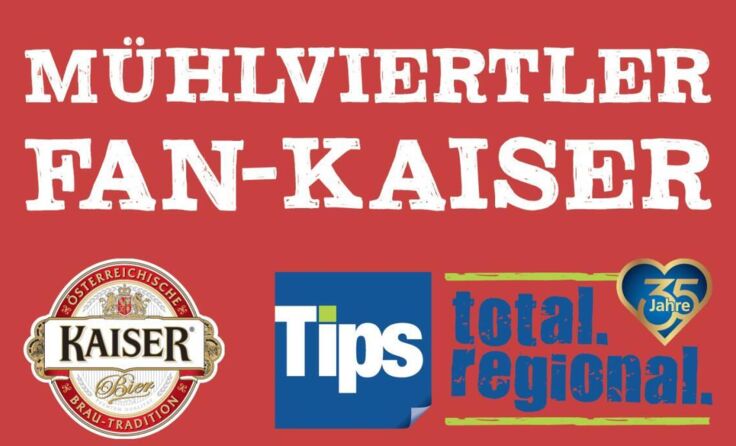  (Foto: Grafik: Tips)