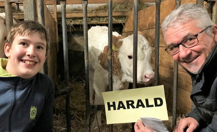 Erstes Aufeinandertreffen zwischen Kalb und Namenspatron. (Foto: Privat)