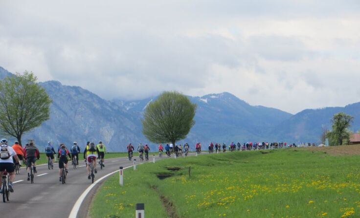 Eine fast endlose Radlerkolonne Fotos (3): Schirlbauer