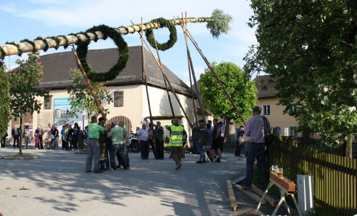 Das Aufrichten des Maibaums ist in Schörfling noch echte, harte Handarbeit.