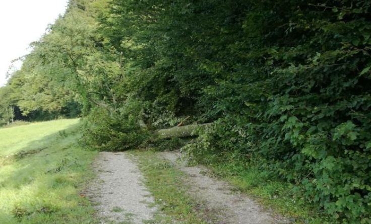 Viele Wege sind derzeit unpassierbar.
