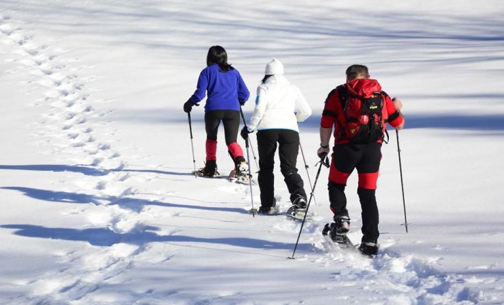 Beim Schneeschuhwandern die winterliche Natur genießen. Foto: Herbert Benedik