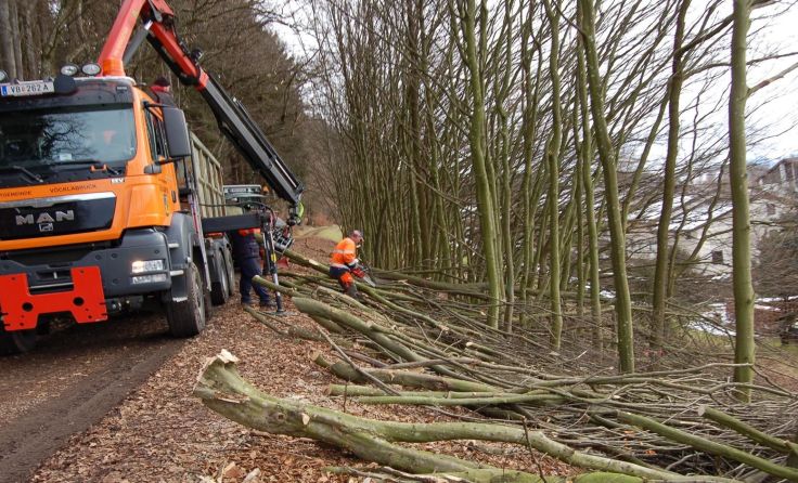 Der Lippeweg ist wegen Waldarbeiten gesperrt. Foto: Stadtgemeinde