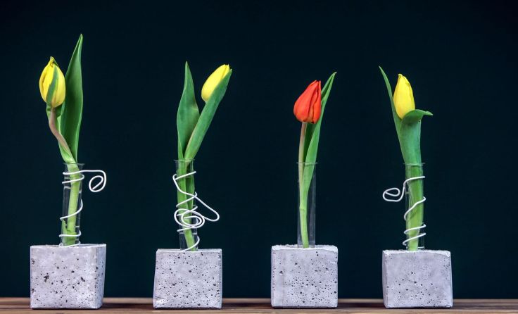 Der Valentinstag steht bevor. Foto: Weihbold