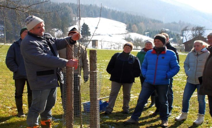Heimo Strebl zeigt, wie man Obstbäume richtig schneidet. Foto: Naturpark 