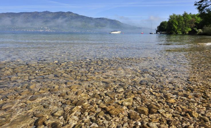 Die Bundesforste machen Fischzählungen - unter anderem auch am Attersee. Foto: Bundesforste