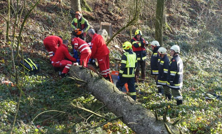Die FF Atzbach wurde zu einem Forstunfall gerufen. Foto: www.ff-atzbach.at 