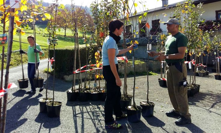 Obstbaumausgabe durch Mitarbeiter des Naturparks Attersee-Traunsee Foto: Naturpark