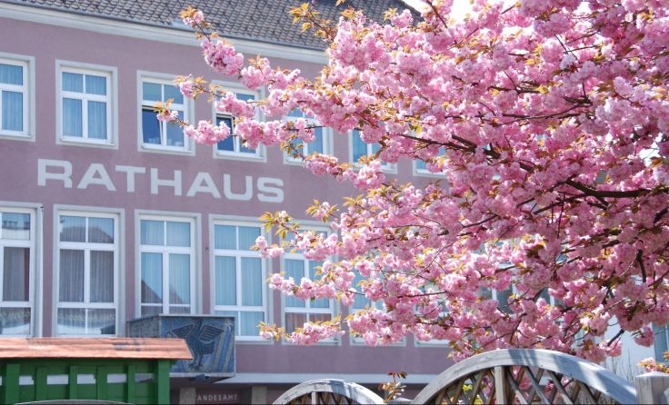 Im Stadtamt Attnang-P. kehrt man wieder zur Normalität zurück. Foto: Stadtamt