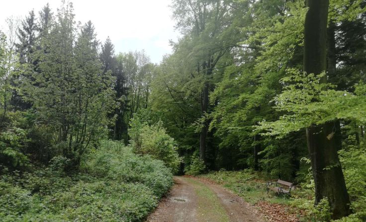 Auch die Schönheit der Natur ist durch den Klimawandel gefährdet. Foto: privat