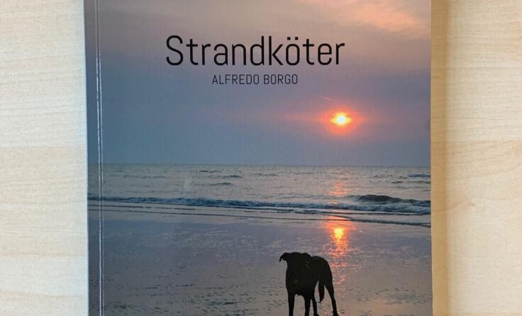 Dieser Hund, der "Strandköter", hat viel zu erzählen. (Foto: Mac)