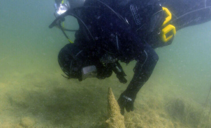 Forschungs-Taucher beim Erkunden der Pfahlbauten in Aktion (Foto: Kuratorium Pfahlbauten)