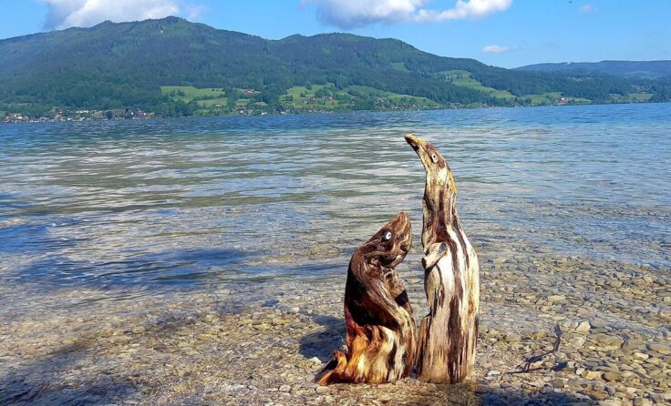 Wunderschön: Seehund und Pinguin aus Schwemmholz (Foto: Privat)