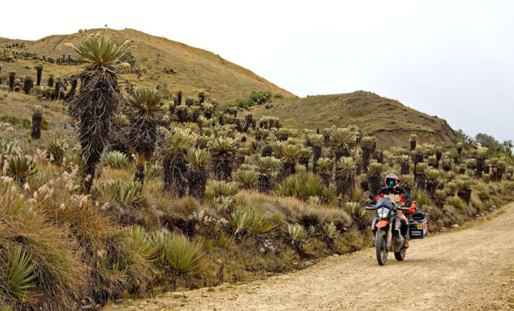 Joe Pichler hat mit dem Motorrad schon viele Reisen unternommen. (Foto: Pichler)