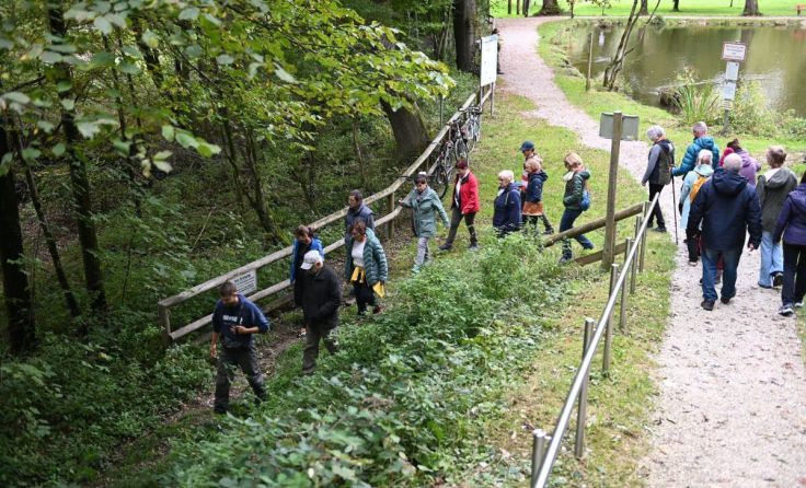 Führungen durch die Puchheimer Au werden angeboten. (Foto: Stadtgemeinde Attnang-Puchheim)