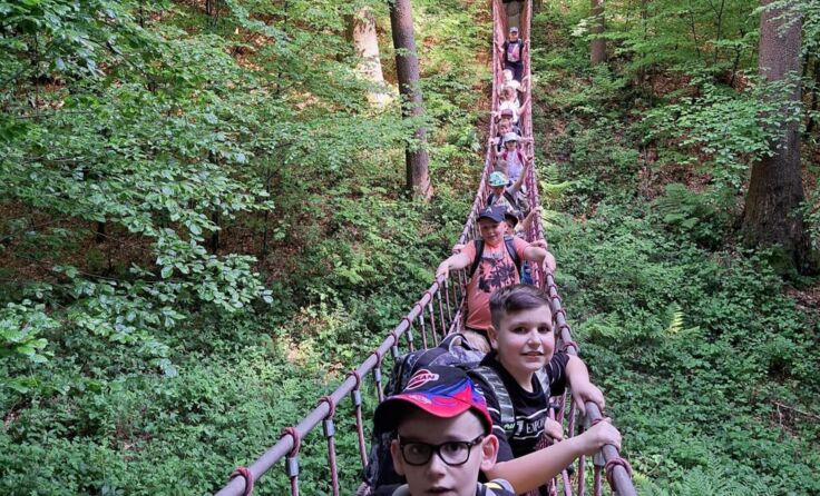 Die Hängebrücke ist ein Höhepunkt im Fuxi-Wald in Vöcklabruck. (Foto: Hort)