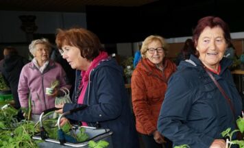 Frische Pflanzerl und herrliche Mehlspeisen beim Pflanzentauschmarkt in Frankenburg/H.