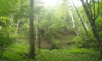 Der Naturraum Frankenburg – große Vielfalt zwischen Hausruck- und Kobernaußerwald