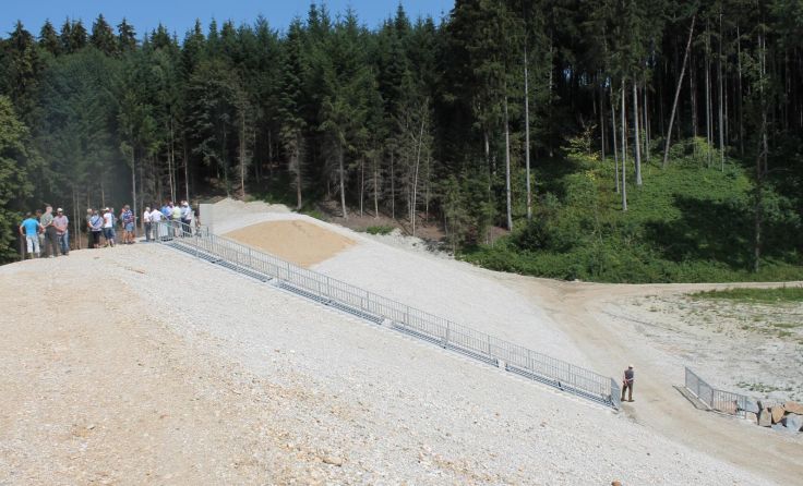 Auf der Südseite des Dammes entsteht ein weitestgehend naturbelassenes Areal.