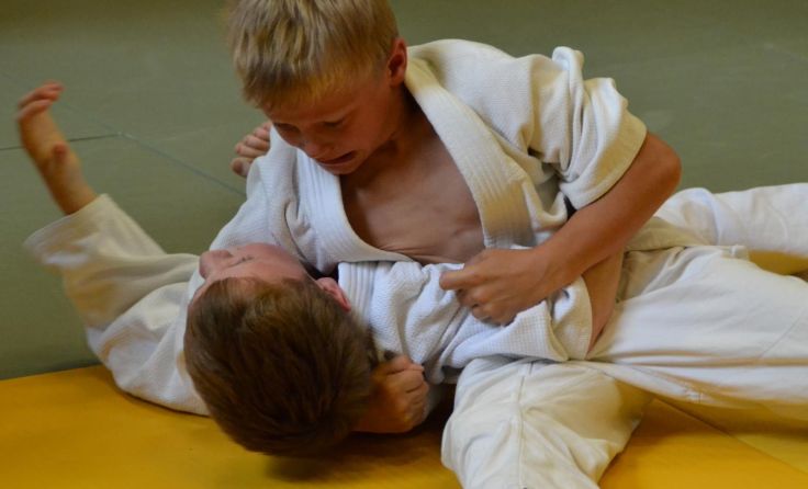 Der Judoverein führt auch heuer zahlreiche Kinder an den Judosport heran.