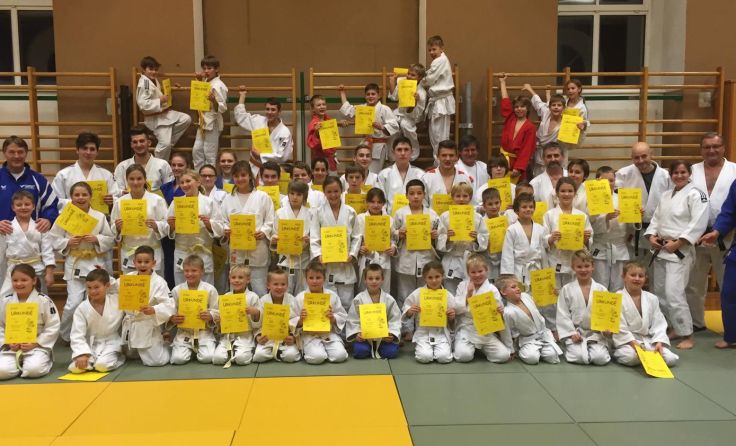 Alle 52 angetretenen Prüflinge des Judovereins Ried bestanden die Gurtprüfung. 