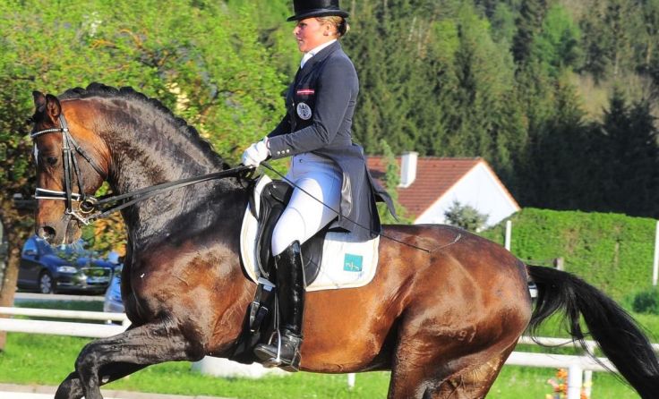 Ulrike Prunthaller gewann auf Bartlgut‘s Duccio zwei Prüfungen. (Foto: Istvan Lehoczky)