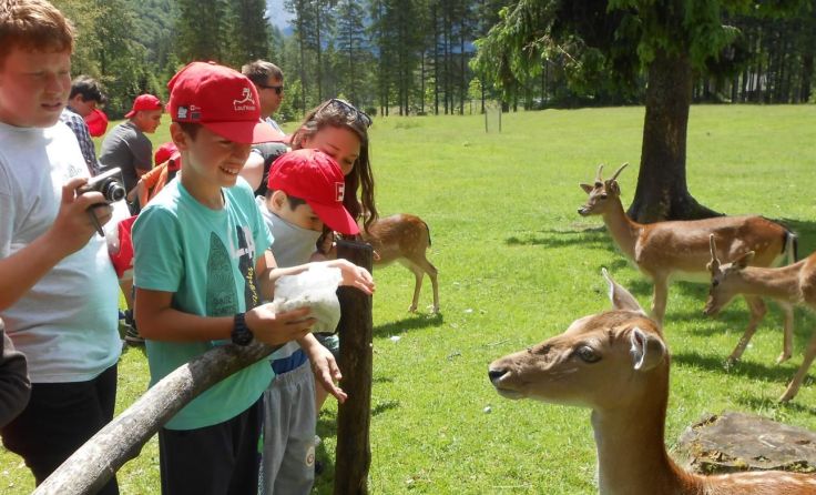 Im Cumberland-Park Grünau konnten die Kinder verschiedenen Tieren näherkommen.