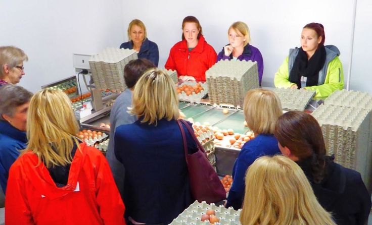 Großes Interesse für die Funktionsweise der Eiersortieranlage. (Foto: Irmgard Seiringer)