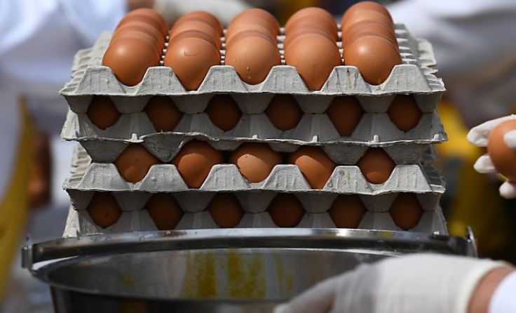 Eier-Skandal zieht weiter Kreise (Foto: APA (AFP)/John Thys)