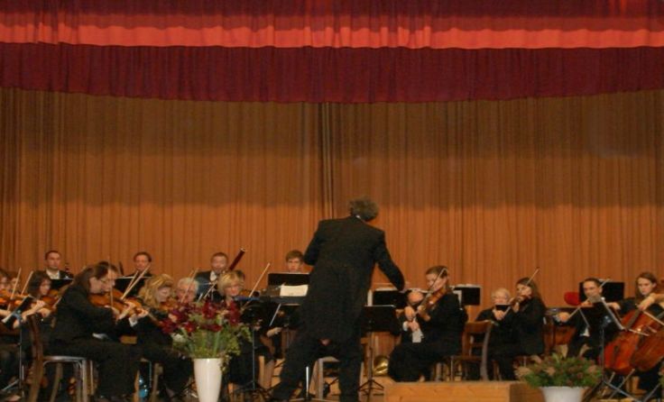 Im Brucknerbund-Orchester sammeln viele junge Musiker Erfahrung.