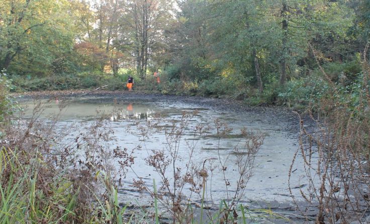 Der Teich sollte ausgepumpt werden; dabei wurden die Rohrbomben gefunden.