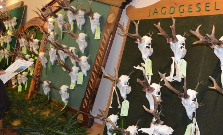 Die Hegeschau gehört zum Jägertag dazu. (Foto: Haslinger)