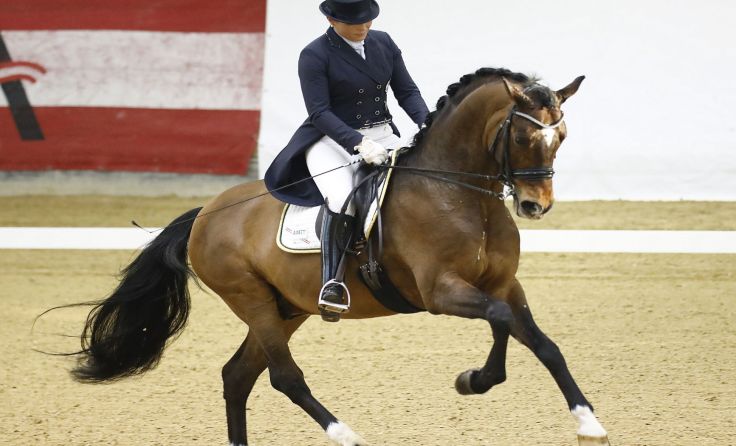 Ulrike Prunthaller auf Bartlgut‘s Duccio (Foto: TEAM Myrtill)